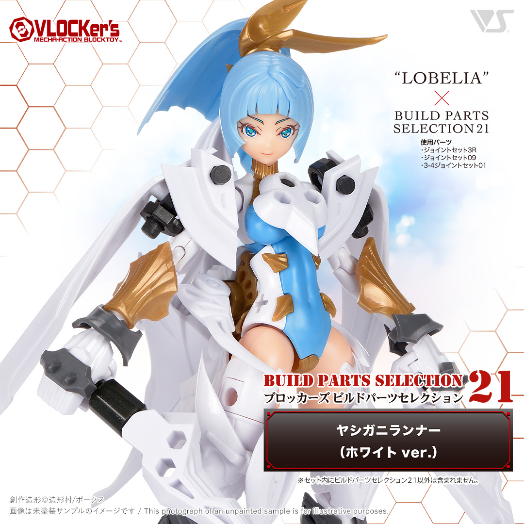 vlk-vbp-0021