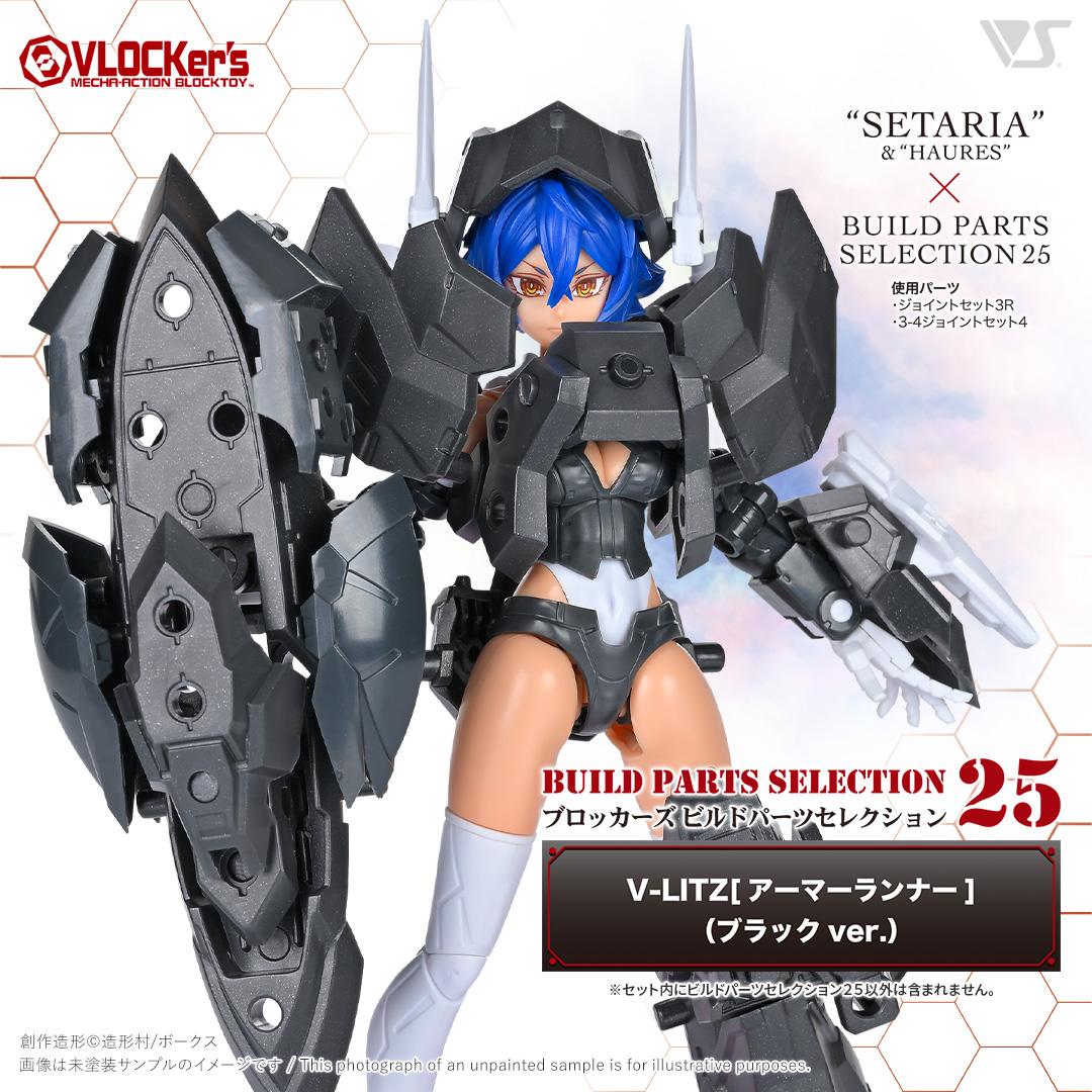 vlk-vbp-0025