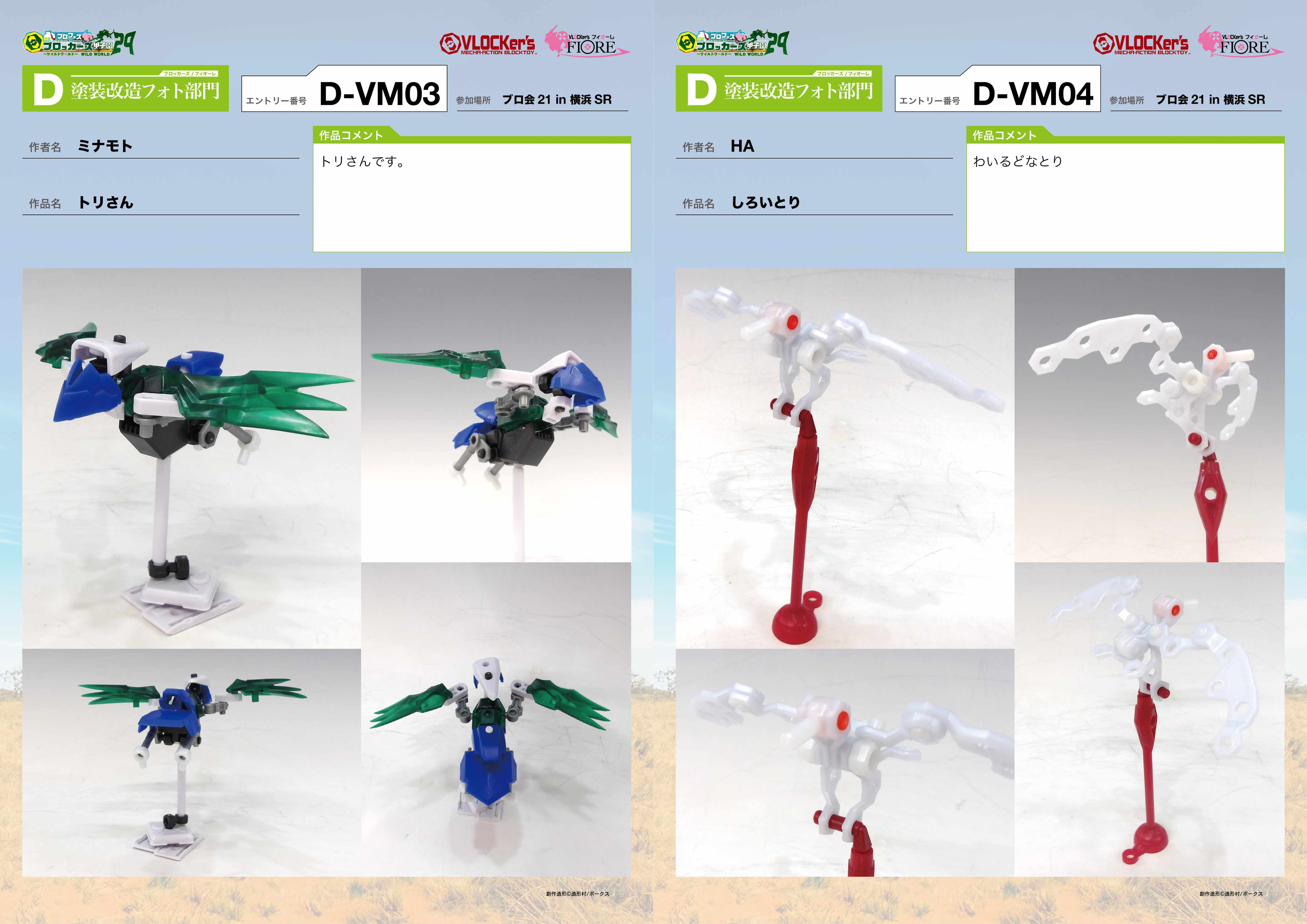 ymb_0528_VLK29_DVM03-04.jpg