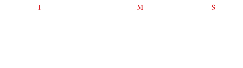 IMS 1/100 L.E.D.ミラージュ 先行量産型 =ジュノー 2989= （限定版）