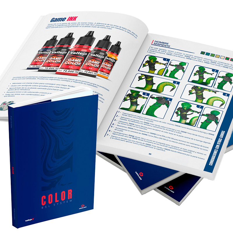 75091 COLOR BSLシステム 書籍