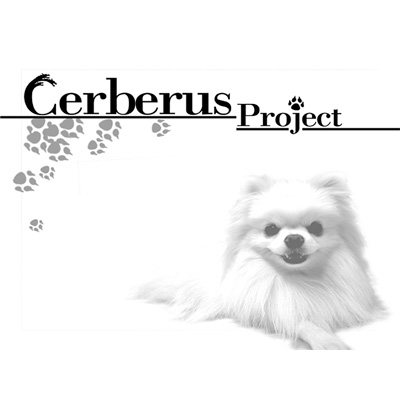 Cerberus Project